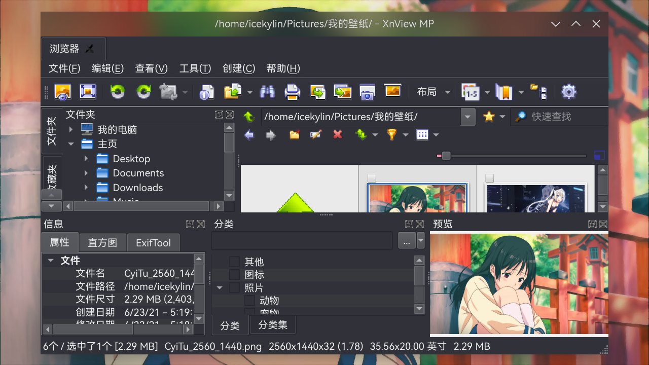 xnviewmp-1