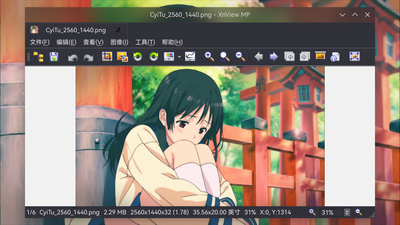 xnviewmp-2
